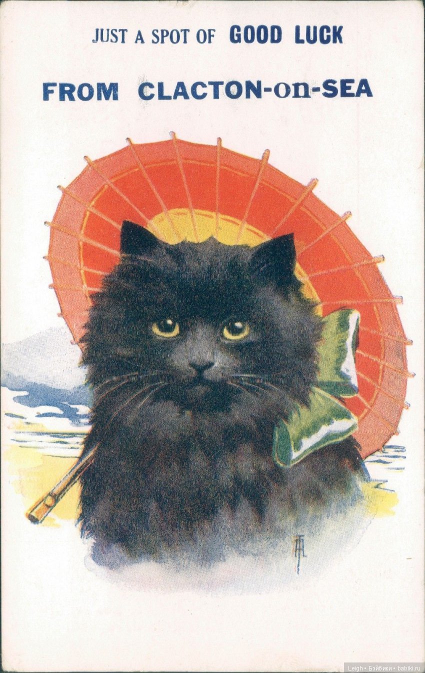 Эстетика Черных котов. Мяу - Винтажик