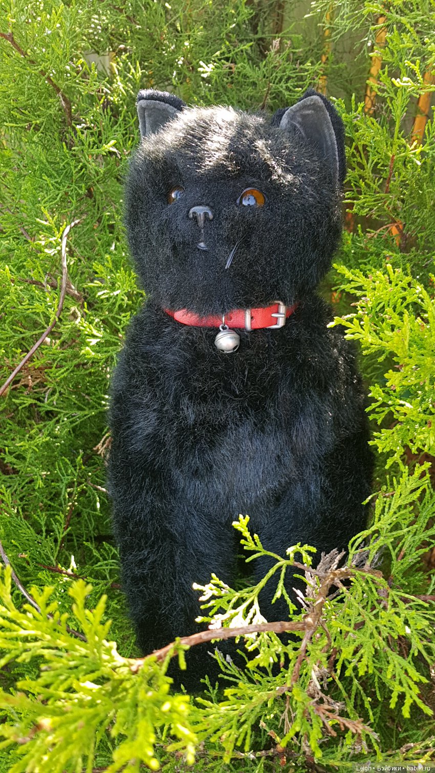 Эстетика Черных котов. Мяу - Винтажик