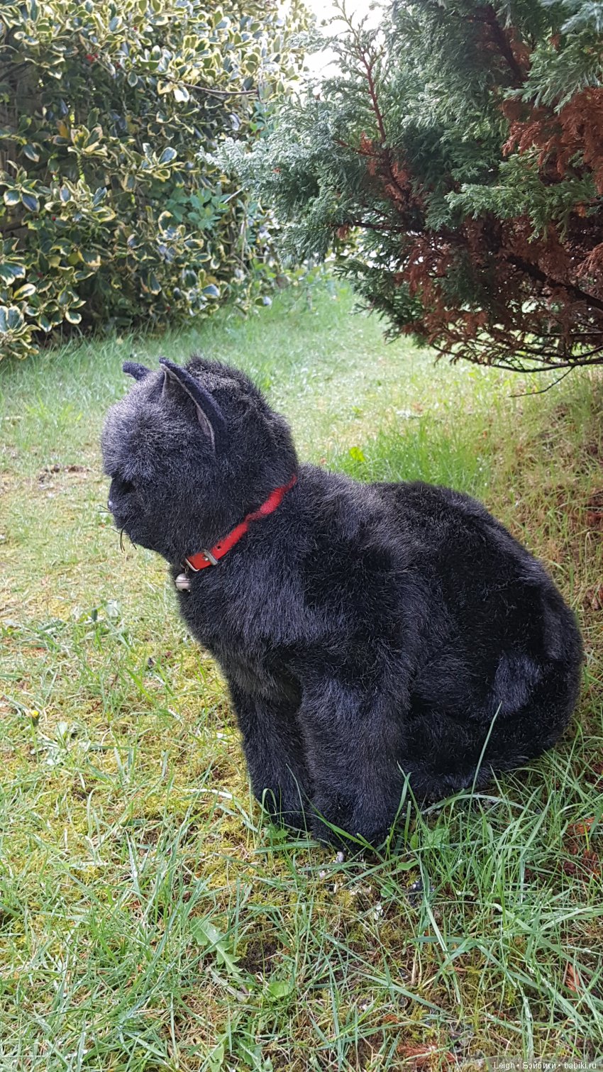 Эстетика Черных котов. Мяу - Винтажик