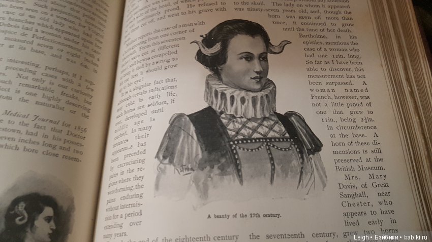 Викторианские Чудачества - на примере прессы XIX века