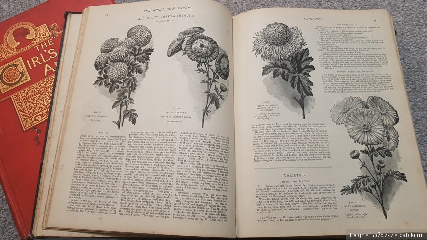 Викторианские Чудачества - на примере прессы XIX века