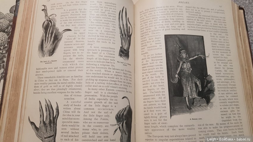 Викторианские Чудачества - на примере прессы XIX века