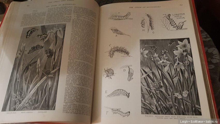 Викторианские Чудачества - на примере прессы XIX века