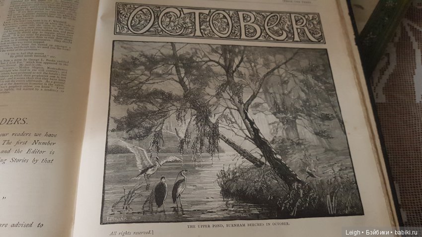 Викторианские Чудачества - на примере прессы XIX века