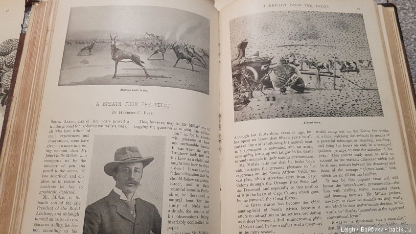 Викторианские Чудачества - на примере прессы XIX века