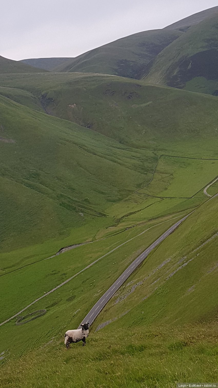 Повесть о Разбитом Сердце