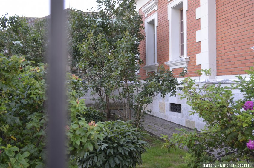 Один вечер в Плесе. Первое путешествие Дашульки (COVA)