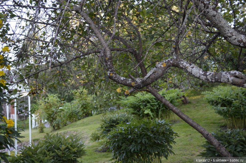 Один вечер в Плесе. Первое путешествие Дашульки (COVA)