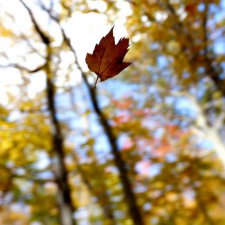 Личное. Тяжелое.