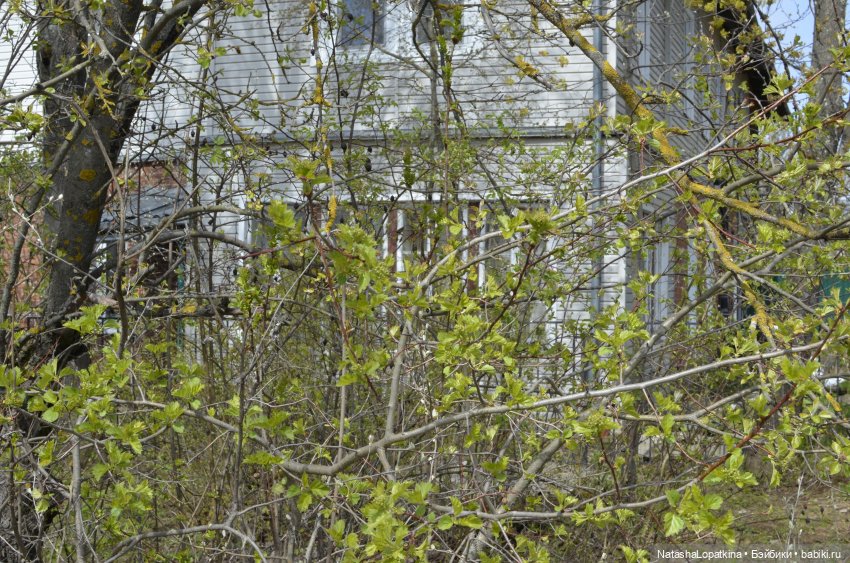 Тихая улочка — Куклы Nikki Britt (Никки Бритт): авторские BJD (БЖД) (фото 3)