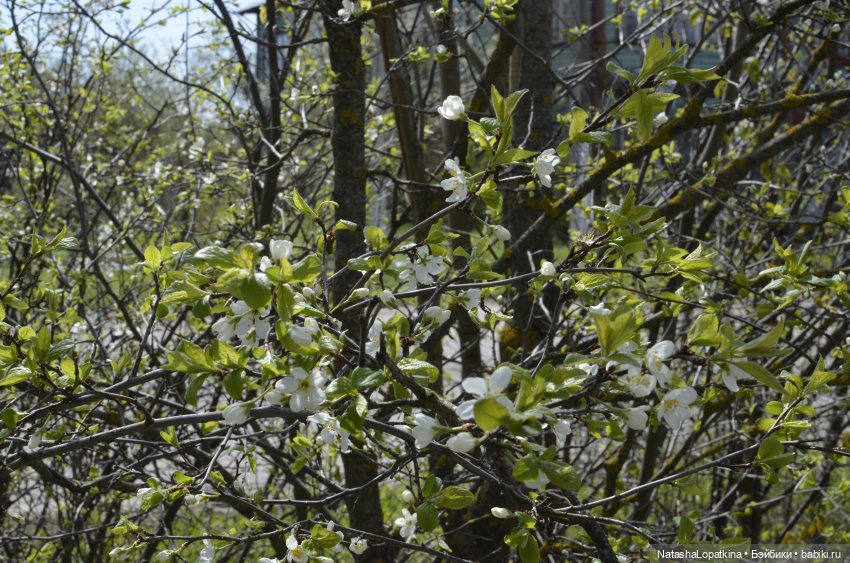 Тихая улочка — Куклы Nikki Britt (Никки Бритт): авторские BJD (БЖД)