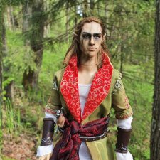 Эльдайн. Эльф с непростой судьбой из вселенной Ведьмака