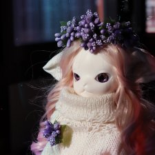 Моя красавица Miss kitty