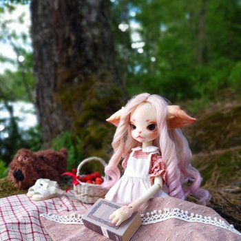 Кошку взяли погулять