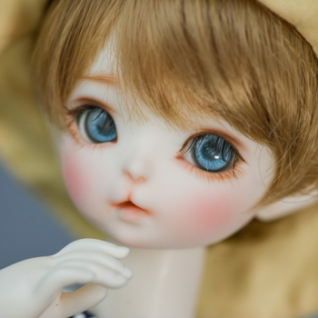 Кто такие бибочки.