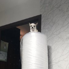 Несметное богатство или как мало нужно для счастья