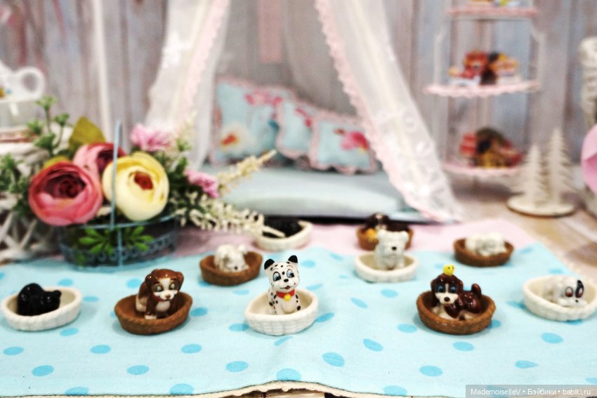 Щенячий переполох — В мире животных: смешные фото питомцев и зверей