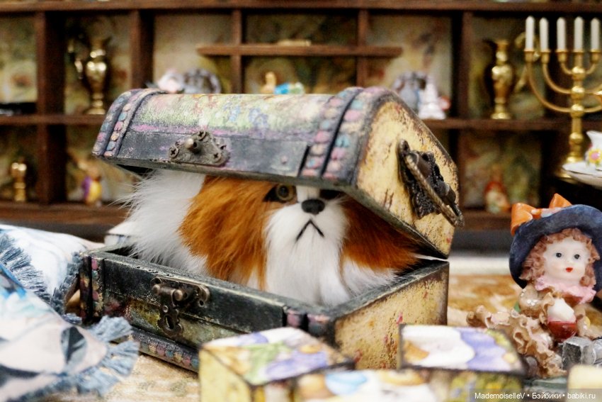 Домик стеллаж, Жужа и стихи Пушкина | Бэйбики Домик стеллаж, Жужа и стихи Пушкина