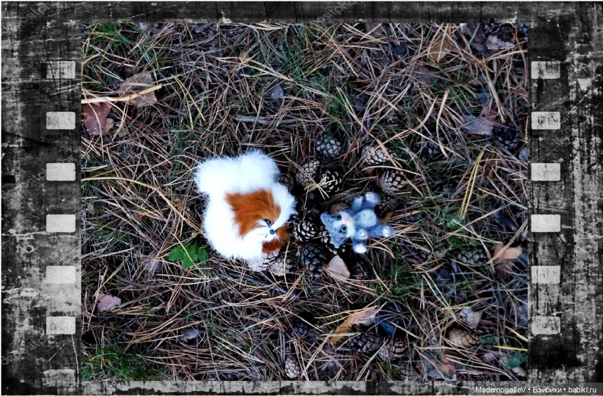 Фотоистория на стихи Марии Семеновой