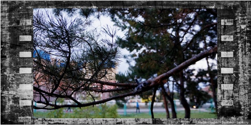 Фотоистория на стихи Марии Семеновой