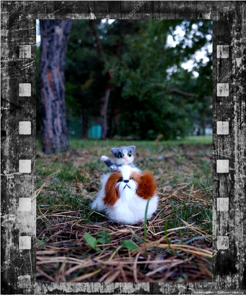 Фотоистория на стихи Марии Семеновой (фото 8)