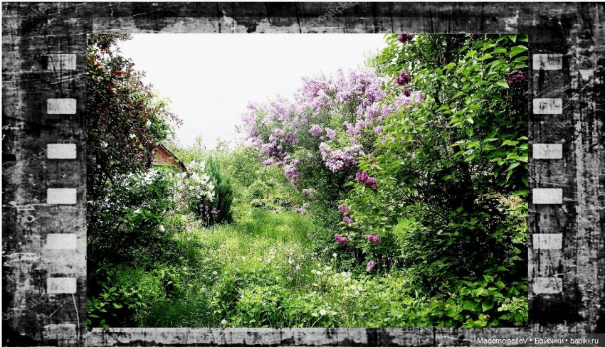 Фотоистория на стихи Марии Семеновой