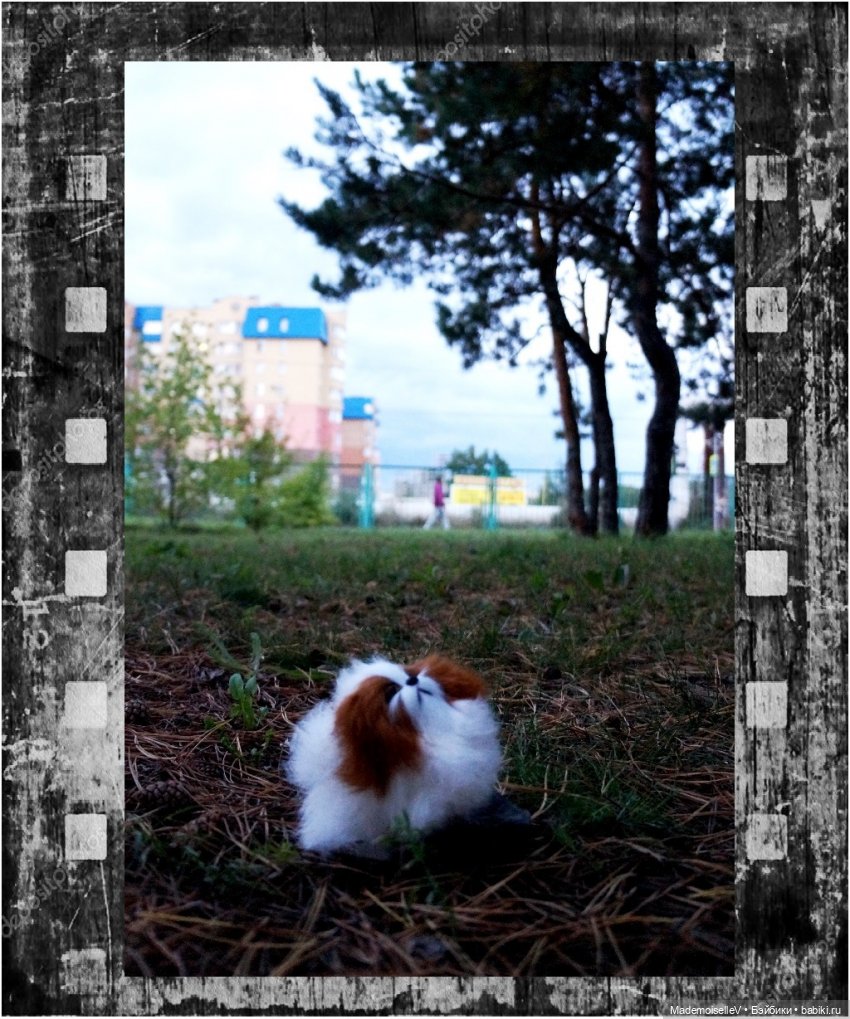 Фотоистория на стихи Марии Семеновой