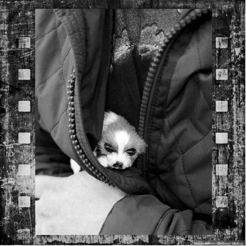 Фотоистория на стихи Марии Семеновой