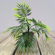 Пальма в кадке