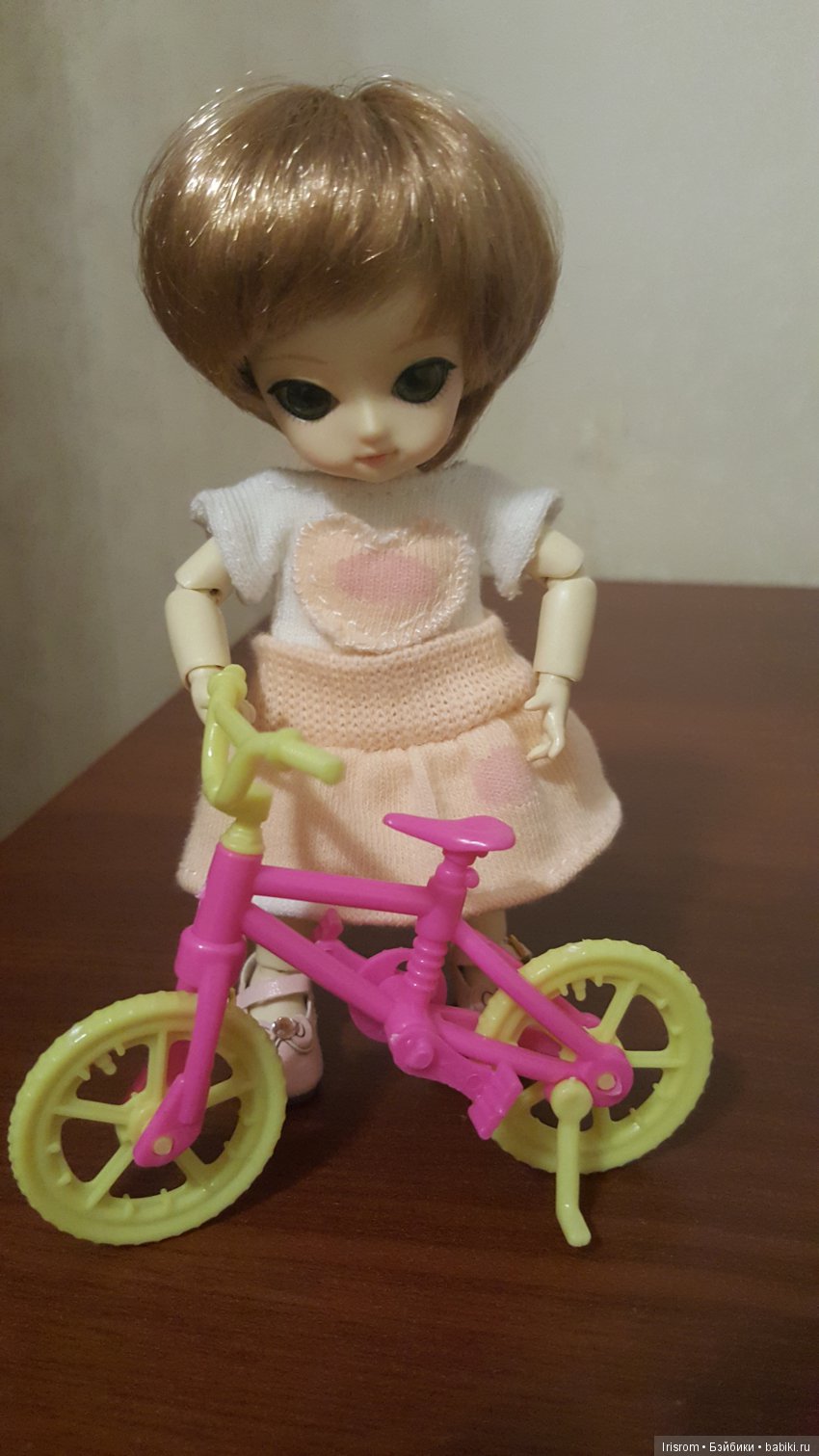 Ai-Ромашка.Учиться никогда не поздно (фото 2)