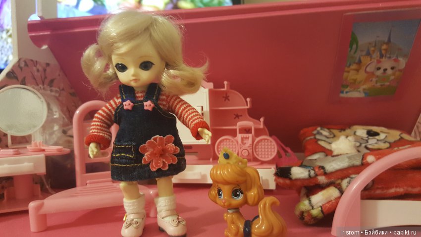 Ai-Ромашка.Учиться никогда не поздно