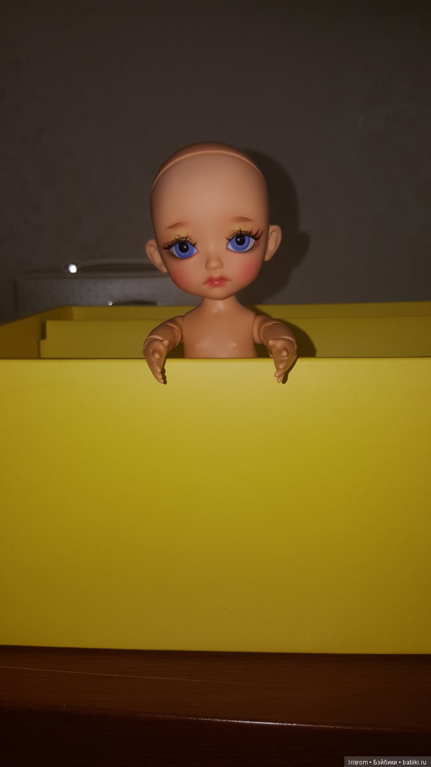 Ai-Ромашка и ее друзья. День счастья и сбывшейся мечты (фото 7)