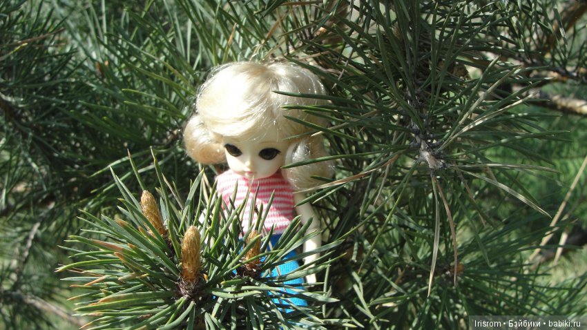 Ai-Ромашка и ее друзья.Роми-разведчик или первое путешествие в большой мир (фото 2)