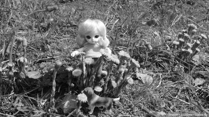 Ai-Ромашка и ее друзья.Роми-разведчик или первое путешествие в большой мир (фото 9)