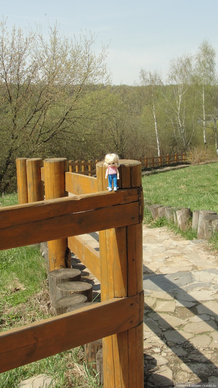 Ai-Ромашка и ее друзья.Роми-разведчик или первое путешествие в большой мир (фото 5)