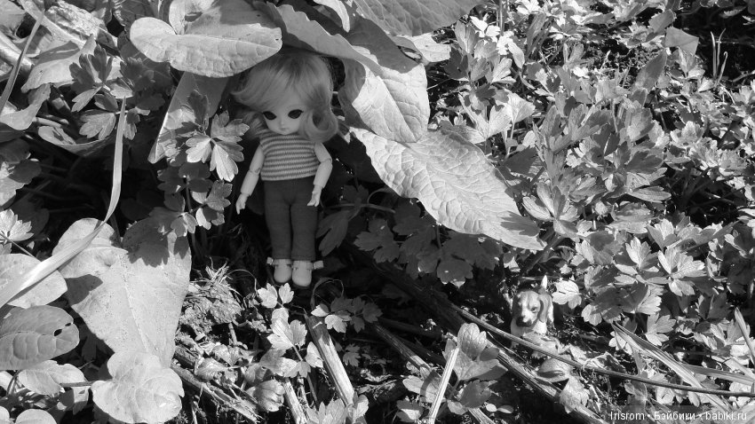 Ai-Ромашка и ее друзья.Роми-разведчик или первое путешествие в большой мир (фото 10)