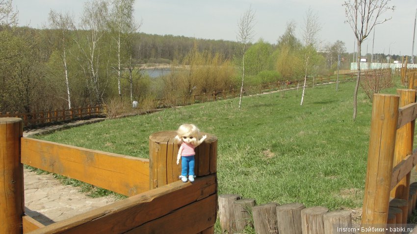 Ai-Ромашка и ее друзья.Роми-разведчик или первое путешествие в большой мир (фото 6)