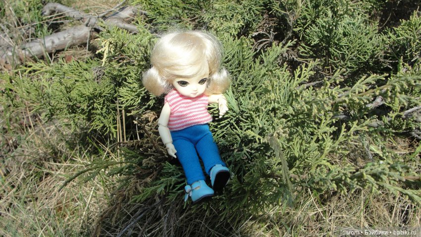 Ai-Ромашка и ее друзья.Роми-разведчик или первое путешествие в большой мир (фото 3)