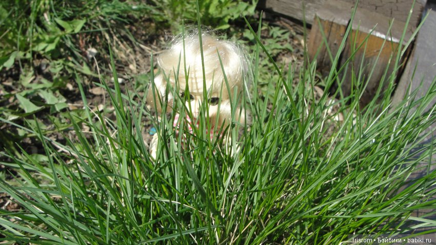 Ai-Ромашка и ее друзья.Роми-разведчик или первое путешествие в большой мир (фото 8)