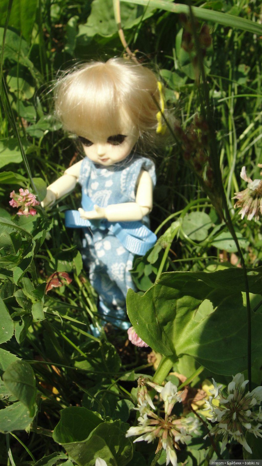 Ai-Ромашка и ее друзья.Репейник на рыбалке