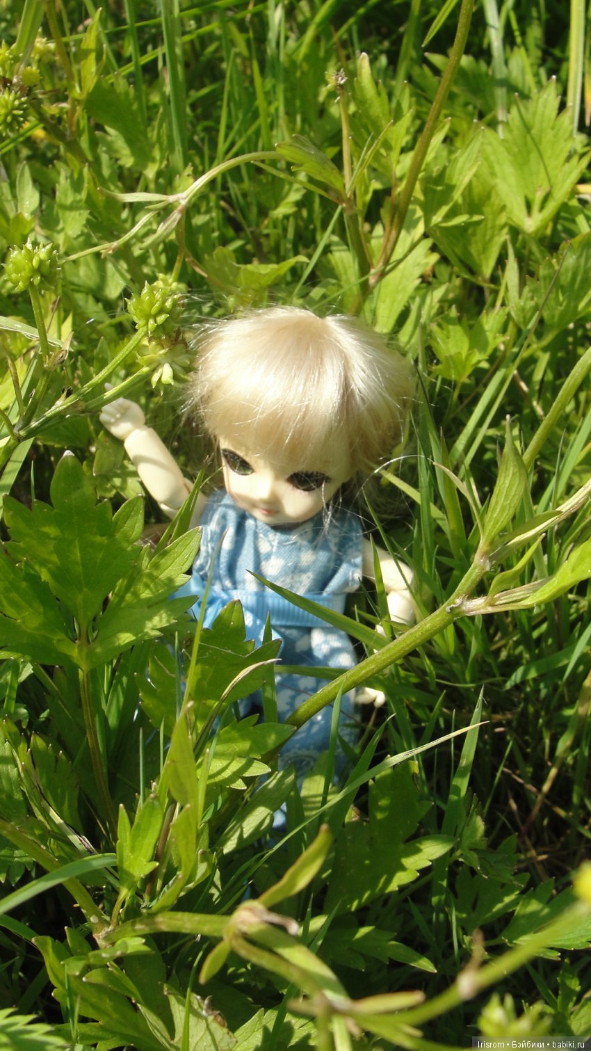 Ai-Ромашка и ее друзья.Репейник на рыбалке