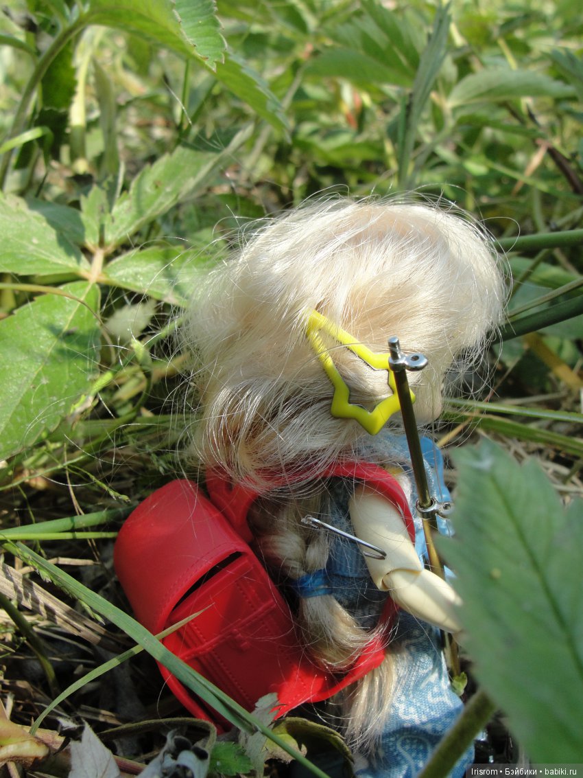 Ai-Ромашка и ее друзья.Репейник на рыбалке