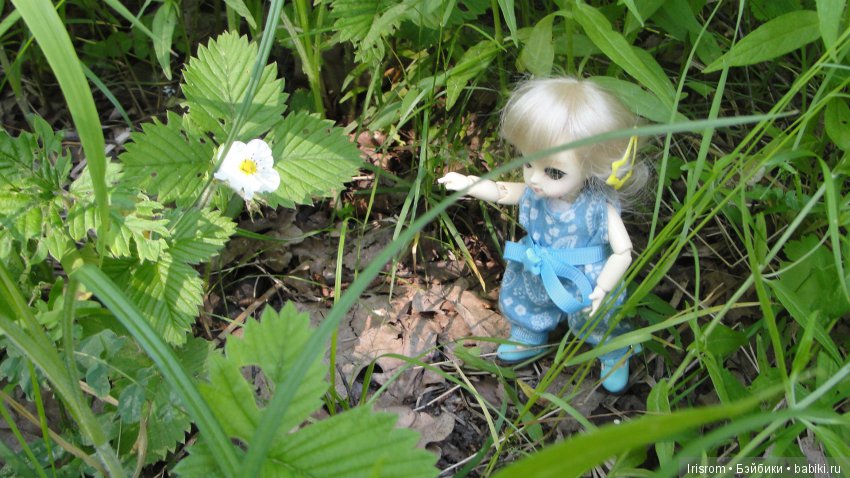 Ai-Ромашка и ее друзья.Репейник на рыбалке