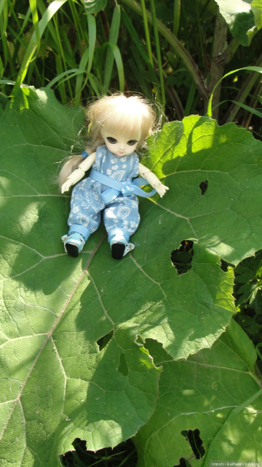 Ai-Ромашка и ее друзья.Репейник на рыбалке