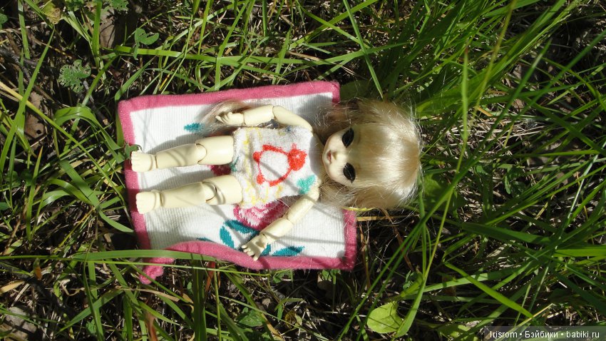 Ai-Ромашка и ее друзья.Репейник на рыбалке