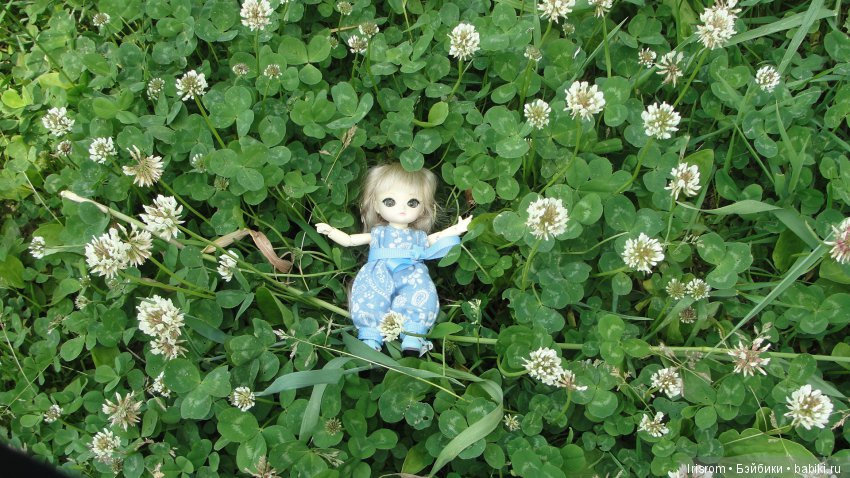 Ai-Ромашка и ее друзья.Репейник на рыбалке