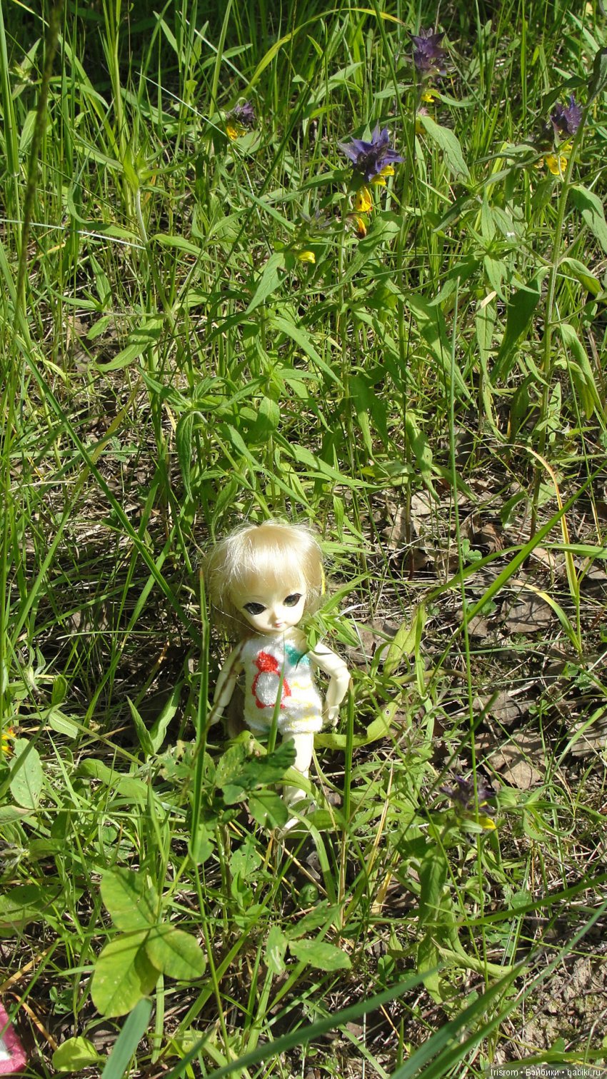 Ai-Ромашка и ее друзья.Репейник на рыбалке