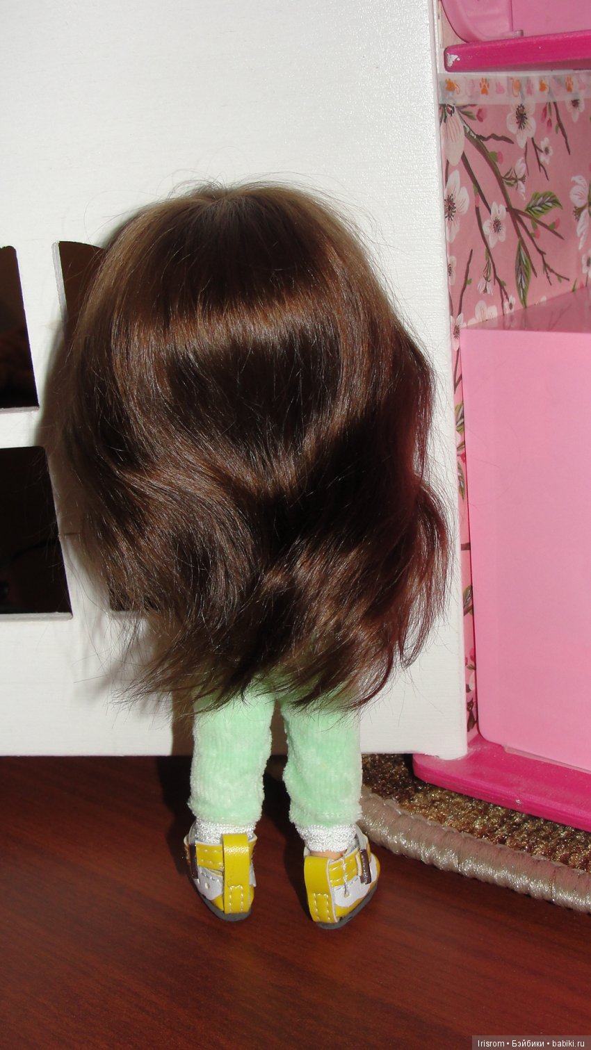 Ai-Ромашка и ее друзья. На улице дождик,на улице слякоть,а нам все равно (фото 5)