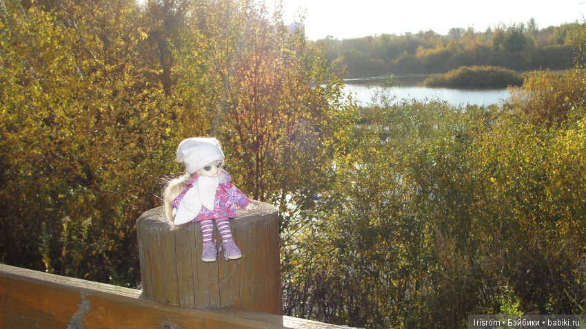 Ai-Ромашка и ее друзья. Осень — последняя, самая восхитительная улыбка года. (У.К.Брайант) (фото 2)