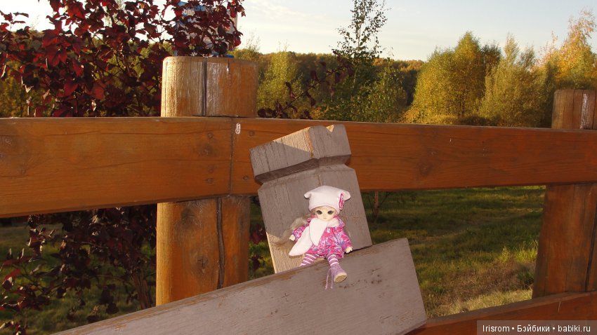 Ai-Ромашка и ее друзья. Осень — последняя, самая восхитительная улыбка года. (У.К.Брайант)